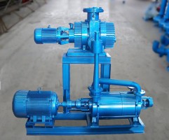 J2J2S羅茨水環(huán)機組